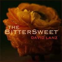 David Lanz - The Bittersweet