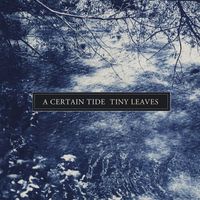 Tiny Leaves - A Certain Tide