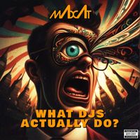 Madcat - What DJs Actually Do? (Explicit)