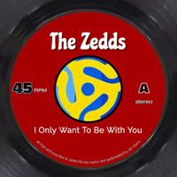 The Zedds - I Only Want To Be With You