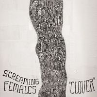 Screaming Females - Clover