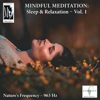 Current - Mindful Meditations - Sleep & Relaxation, Vol. 1