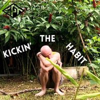 Stephen Paul Taylor - Kickin' the Habit