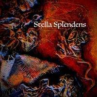 Paya Lehane - Stella Splendens