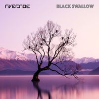 Riverside - Black Swallow