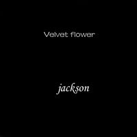 Jackson - Velvet Flower