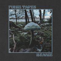 Fungi Tapes - Beanie