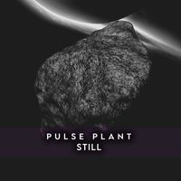 Pulse Plant - Still