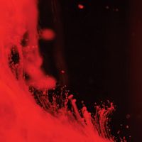 Fani Konstantinidou - Bacterial Dance