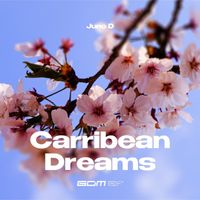 Juno D - Carribean Dreams (Extended Mix)