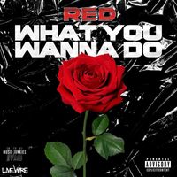 Red - What You Wanna Do (Explicit)