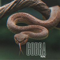 Nene - Cobra
