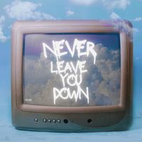 VDM - Never Leave You Down (Explicit)