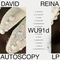 David Reina - Autoscopy LP