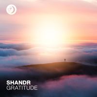shandr - Gratitude