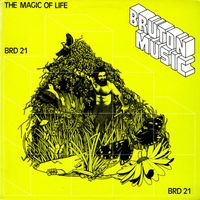Duncan Lamont - Bruton BRD21: The Magic of Life