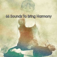 Meditation Spa - 66 Sounds To Bring Harmony