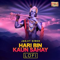 Jagjit Singh - Hari Bin Kaun Sahay (LoFi)