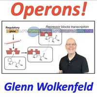 Glenn Wolkenfeld - Operons!