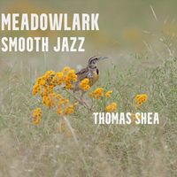 Thomas Shea - Meadowlark Smooth Jazz