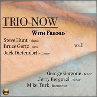 Steve Hunt, Bruce Gertz & Jack Diefendorf - Trio-Now With Friends, Vol. 1