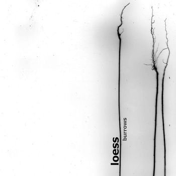 Loess - Burrows