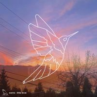 Xorro - THIS LOVE