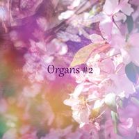 Leo Spence - Organs #2