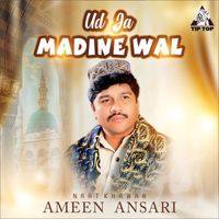 Ameen Ansari - Udh Ja Madine Wal
