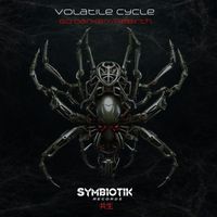 Volatile Cycle - Go Darker/Rebirth