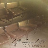 Rex Montex - Still Anyone Sat?