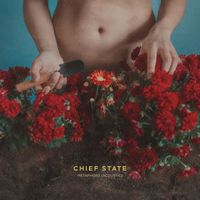 Chief State - Metaphors (Acoustic)
