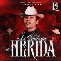 El Mentado Lino Hernandez - Asi Trabaja La Herida