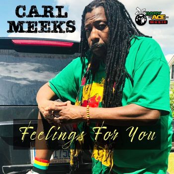 Carl Meeks - Feelings For You