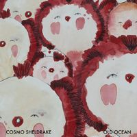 Cosmo Sheldrake - Old Ocean