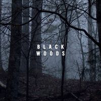 Meditation Music - Black Woods