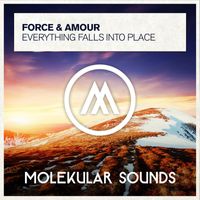 Force & Amour - Everything Falls Into Place