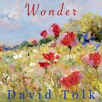 David Tolk - Wonder