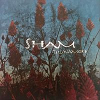 Sham - Tsunamore