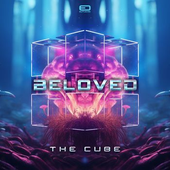Beloved - The Cube