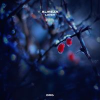 Alireza - Lover