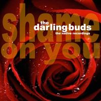 The Darling Buds - Shame On You