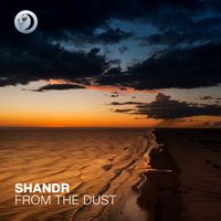 shandr - From The Dust