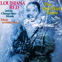 Louisiana Red & His Chicago Blues Friends - Boy from Black Bayou