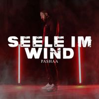 Pashaa - Seele im Wind (Explicit)