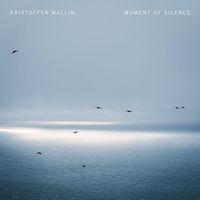 Kristoffer Wallin - Moment of Silence