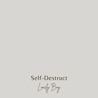 Lonely Boy - Self-Destruct