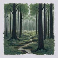 Charlie Ivens - Fake Hand Drawn Forest