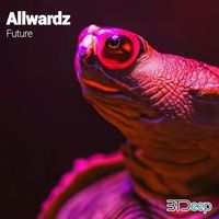 Allwardz - Future