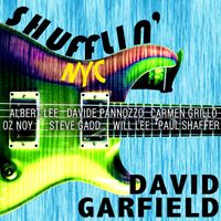 David Garfield - Shufflin' NYC